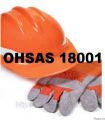 Сертификация OHSAS 18001 (CТ РК OHSAS 18001)