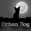 "Urban Dog" - магазин товаров для животных