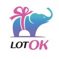 Интернет магазин приятных покупок LotOk. kz