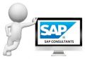 Услуги по внедрению, технической поддержке и развитию SAP