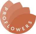 Компания «ProFlowers»